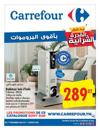 Catalogue Carrefour - 01/11/2022 - 01/01/2023.